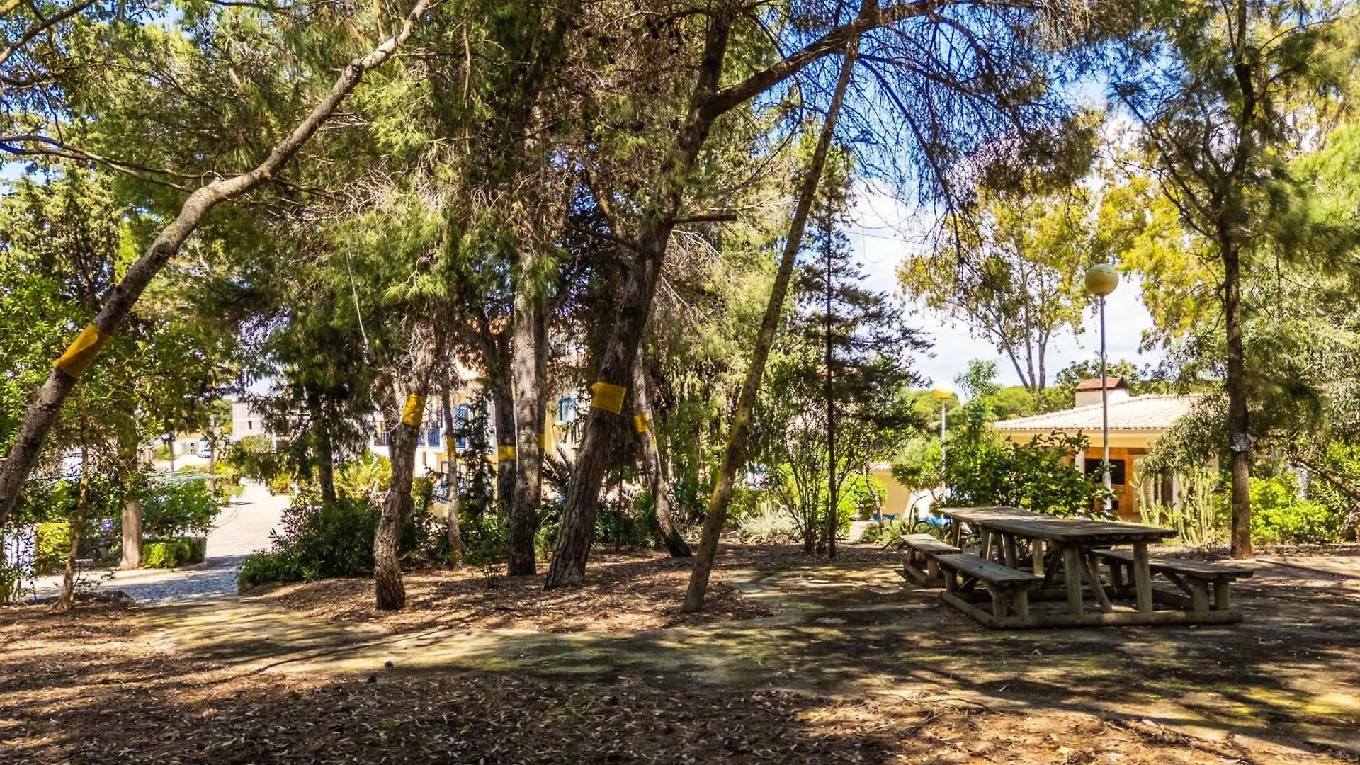 아파트호텔 Apartamentos Bosque Sao Jose 알부페이라