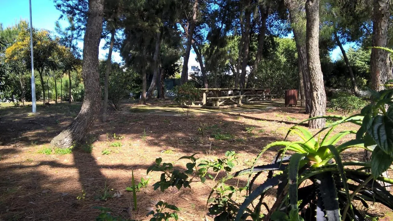 Apartamentos Bosque Sao Jose 알부페이라 아파트호텔